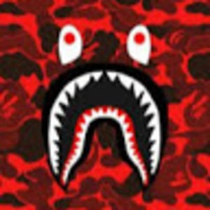 Meet your Posher, Carter